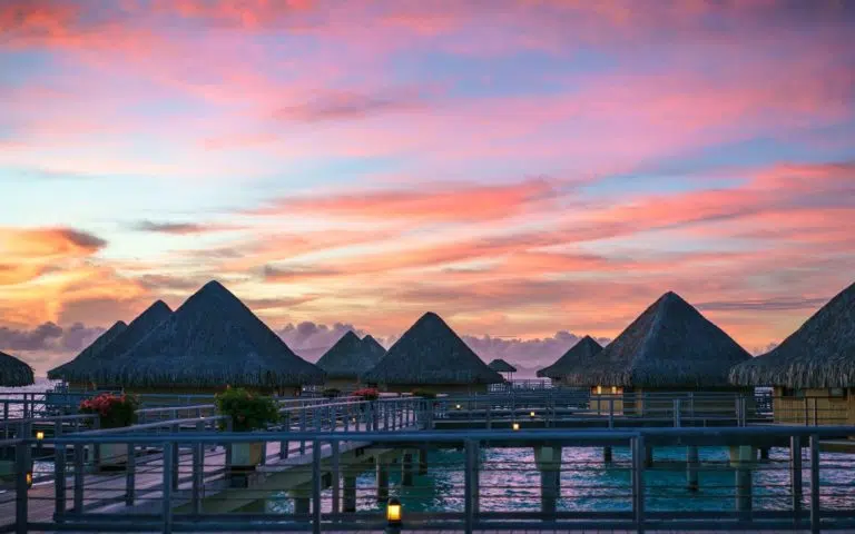 Polynésie sous-marine de la Société aux Tuamotu - Polynésie française | Sur mesure