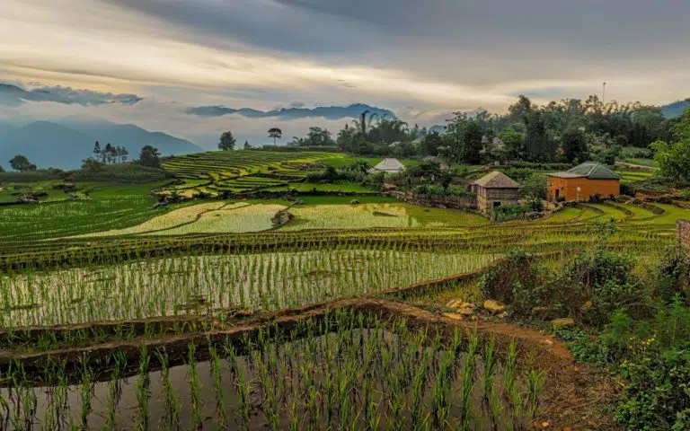 Séjour authentique au coeur du Vietnam - Vietnam | Sur mesure