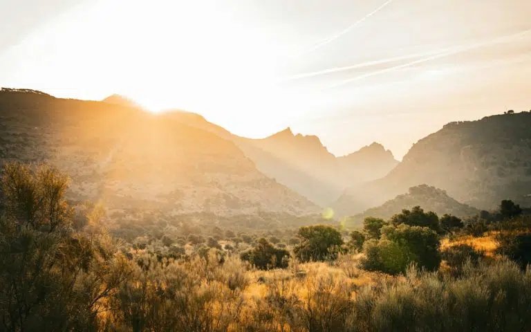 Sur la route en Andalousie - Espagne | Sur mesure