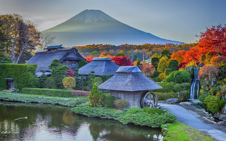 Le Japon électrique et poétique - Japon | Sur mesure