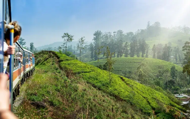 Traversée authentique : nature et ethnie du Sri Lanka - Sri Lanka | Sur mesure