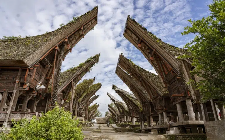 Sulawesi : un autre monde en Indonésie - Indonésie | Sur mesure