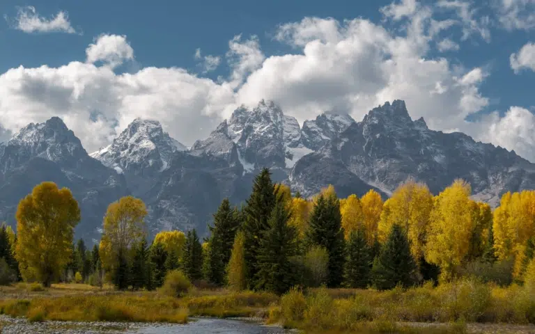 Road trip au coeur du Yellowstone et du Wyoming - États-Unis | Sur mesure